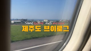 내 나이 31살 2박3일 제주도 혼여 브이로그 1편