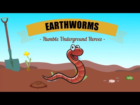 Are earthworms becoming extinct?