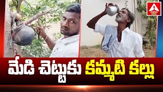 Medi Chettu Kallu : మేడి చెట్టుకు కమ్మటి కల్లు | Medi Kallu In Nagar Kurnool | Amma News