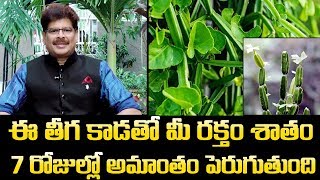 ఈ తీగ కాడతో మీ రక్తం శాతం 7 రోజుల్లో అమాంతం పెరుగుతుంది || Nalleru Benefits || Dr. Murali Manohar