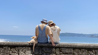 初めて海に行った仔犬の反応は…？🏝🐾【ゴールデンレトリバー】