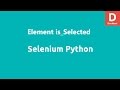 Selenium Python Element is_Selected