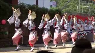 殿様連／熱演！真昼の阿波おどり2016／徳島市阿波おどり2016