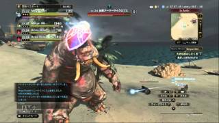 #1【DDON】初心者なのに大丈夫か！？ 【あるてぃめいとの日常】