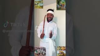 #ሐመር ገሬ#ተዋሳአይ ተልሂት# ሩሱኑን#Hamere gere#tigrgna dancing