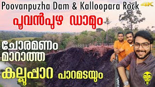 ഉറ്റസുഹൃത്തുക്കൾ ഒന്നിച്ച് ഒരു ഭീകരയാത്ര !! Poovanpuzha Dam, Kallooppara | Ramesh and Suresh Vlogs