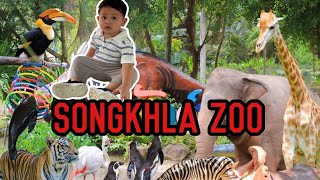 สวนสัตว์สงขลา | songkhla zoo. เที่ยวกับน้องไดมอนด์