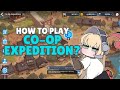 Co-op Expedition Guide For Beginners | Guardian Tales