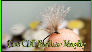 One CDC Feather Mayfly (design by Agostino Roncallo)