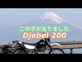 達磨山林道×沈下橋×djebel×xlr 2020 8 10【モトブログ】