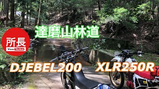 達磨山林道×沈下橋×DJEBEL×XLR 2020-8-10【モトブログ】