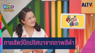 ทายสัตว์ปีกปริศนาจากภาพสีดำ | คิดสนุก