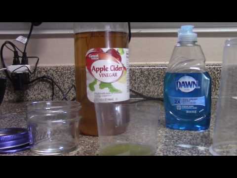 How to Make a Simple Gnat Trap How to Make a Simple Gnat Trap