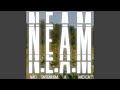 N.E.A.M