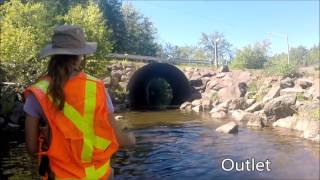 ECOCURIOUS VLOG 30: ACCAT - Completing a Watercourse Crossing Datasheet