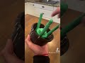 3D printed Lego inspired plant ASMR #shorts