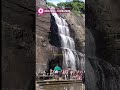 old falls 17.08.2024 moderate waterflow kutralam live