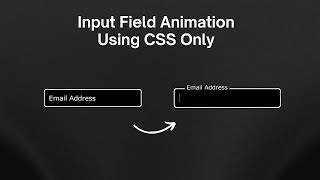 Input Field Animation Using CSS Only | Input Label Animation CSS | Form Input Animation HTML & CSS