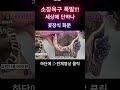 세상에 단하나 꽃장식화분 사이즈굿 품절예감 우물정진주바위솔 문의 010 5067 3731