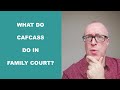 What do cafcass do in family court hearings? Professional McKenzie Friend explains