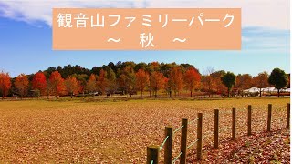 群馬県立　観音山ファミリーパーク｜高崎土木事務所｜群馬県