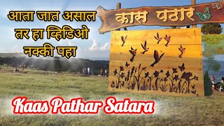 kaas Pathar Satara 2024🌴🌺कास पठार सातारा 2024        अजिंक्यतारा किल्ला🚩🚩महाराज वास्तु संग्रहालय 🚩🚩