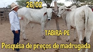 Preços de madrugada em Tabira-PE (25/02/25)