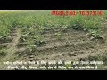 8 acre agriculture land for sale in hisar land in uklana farming land agriculture land land