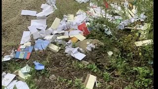 Hundreds of Pieces of Mail Dumped in the Woods in Philly's Eastwick Neighborhood