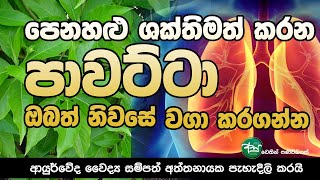 පෙනහලු ශක්තිමත් කරන පාවට්ටා ඔබත් නිවසේ වගා කර ගන්න