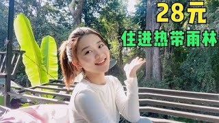 西双版纳28一晚的青年旅舍，好像住在热带雨林里，适合学生党！【孙二娘带你游中国】