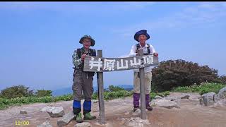 2019 06 21福岡県糸島市・井原山（いわらやま）983mのヤマツツジ、ヤマアジサイ、ハンカイソウ(キトク橋登山口～水無登山口の周回登山）