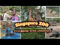 Singapore ZOO | What To expect | Full Guide in tamil #singapore #travel #zoo #viral #trending