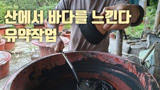 식물은 썩어서 유약이 된다 / 바다향기 나는 흙