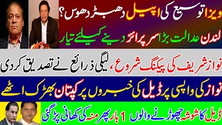 Nawaz Sharif disappointed from London High Court in Visa extension appeal? Imran khan strong reply