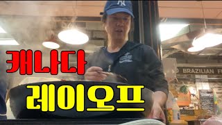 레이오프 칼바람 속에서도 머리카락만은 사수중인 개팍씨의 유아독존 캐나다 삶