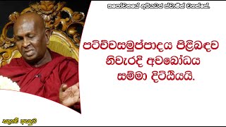 පටිච්චසමුප්පාදය පිළිබඳව නිවැරදි අවබෝධය සම්මා දිට්ඨියයි.384පූජ්‍ය තපෝවනයේ අරියධජ හිමි