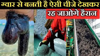 ग्वार से बनने वाली ये चीजें कर देगी आपको हैरान/Things Which Made By Guar