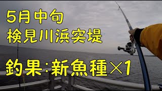 千葉県検見川浜突堤５月中旬「徹夜釣行明けに狙う東京湾奥の朝マズメ！！全く釣れない状況でサヨリが会いに来てくれた！！」ばいおフィッシング2021Part14 東京湾Tokyo Bay Fishing