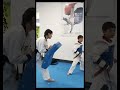 master the powerful taekwondo turning kick dollyo chagi taekwondo kicks power kicking 跆拳道