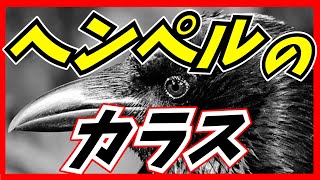 科学哲学者：ヘンペルが提唱した思考実験