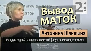 Матководство ч2 Вывод маток технология Антонина Шакшина Матковод эксперт ИО Форум по пчеловодству