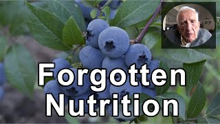 T. Colin Campbell, PhD - Interview - Nutrition Forgotten, For Two Centuries