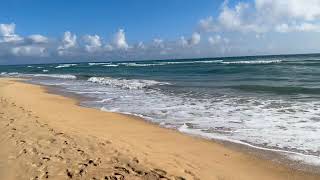 *NEW* Secrets Tides: Beach
