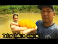 Menjala Dan Mencari Telur ikan Bandaraya