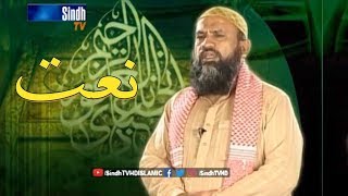 Naat: Mola Madino Dekhar | Hafiz Ali Ahmed | SindhTVHD ISLAMIC