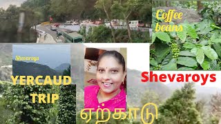 ஏற்காடு Yercaud Hills a short trip.ஏரி சூழ்ந்த காடு ஏற்காடு.வாங்க ஒரு  ட்ரிப்! #travelvlog #hills