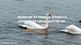 Încercăm să Prindem Știucă la Spinning pe Lacul Neptun! Am Reușit?