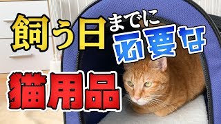 初めて猫を飼う時、迎え入れるための準備に必要な猫用品 (家に来る当日までに必要なグッズ)