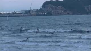 2019.8.31 湘南波情報動画　PM6:00 鵠沼　Jerry Smith